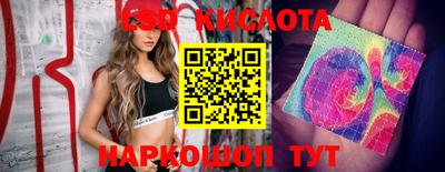 мдпв Новодвинск